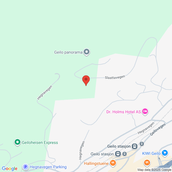 Bilde fra Google Maps, sentrert på adressen