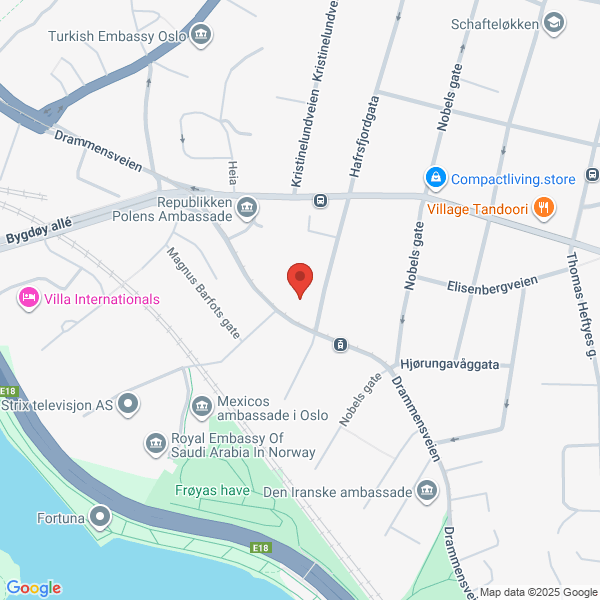 Bilde fra Google Maps, sentrert på adressen