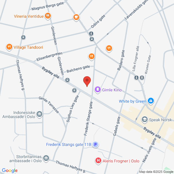Bilde fra Google Maps, sentrert på adressen