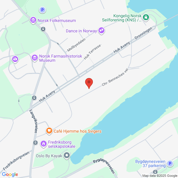 Bilde fra Google Maps, sentrert på adressen