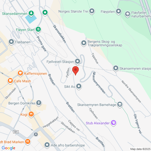 Bilde fra Google Maps, sentrert på adressen