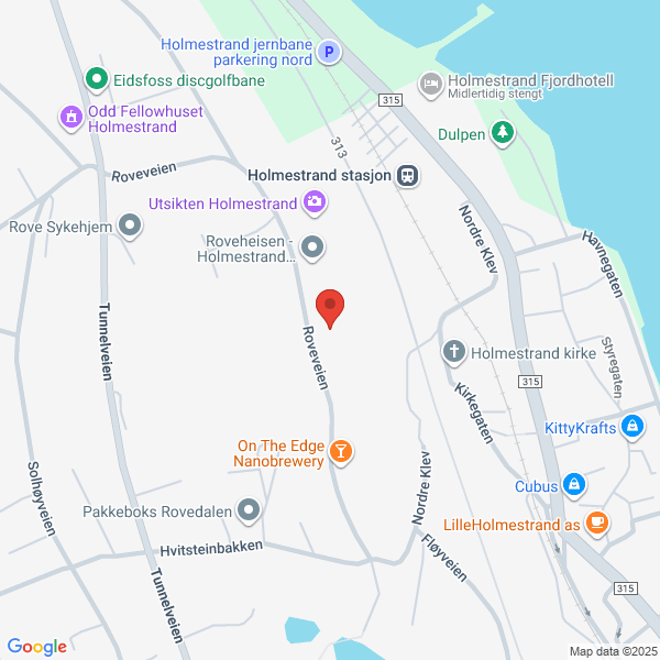 Bilde fra Google Maps, sentrert på adressen