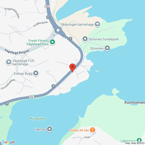 Bilde fra Google Maps, sentrert på adressen