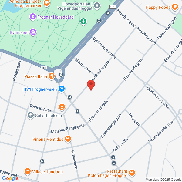 Bilde fra Google Maps, sentrert på adressen