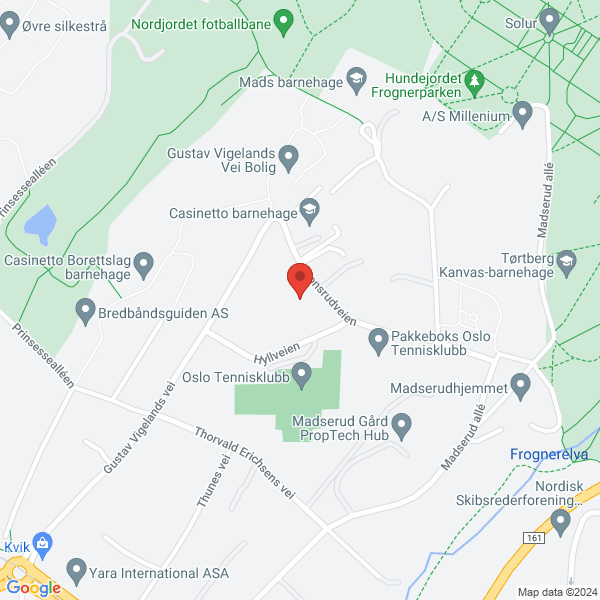 Bilde fra Google Maps, sentrert på adressen