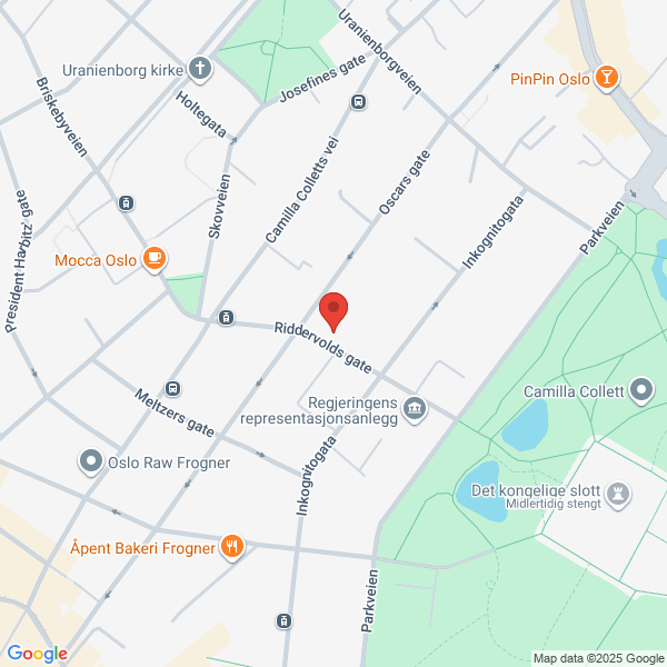 Bilde fra Google Maps, sentrert på adressen