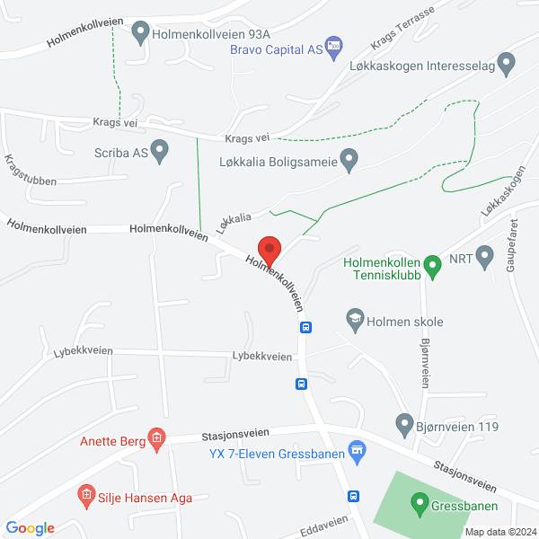 Bilde fra Google Maps, sentrert på adressen