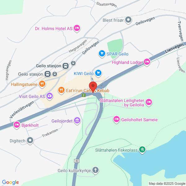 Bilde fra Google Maps, sentrert på adressen
