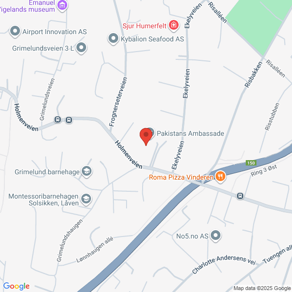 Bilde fra Google Maps, sentrert på adressen