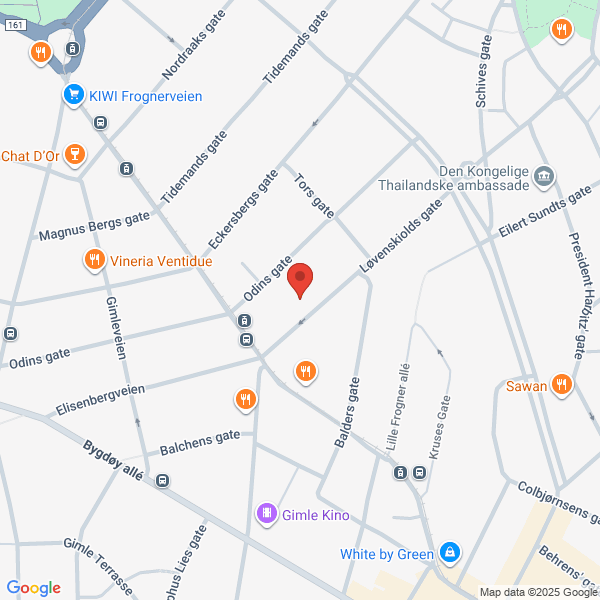 Bilde fra Google Maps, sentrert på adressen