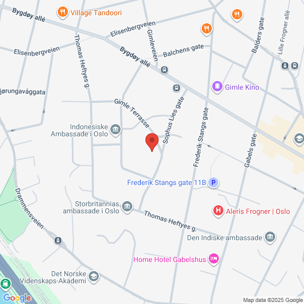 Bilde fra Google Maps, sentrert på adressen