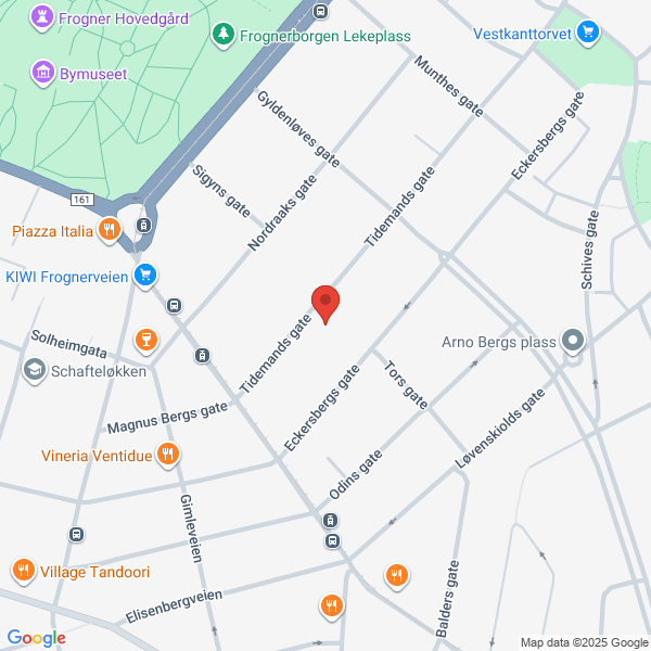 Bilde fra Google Maps, sentrert på adressen