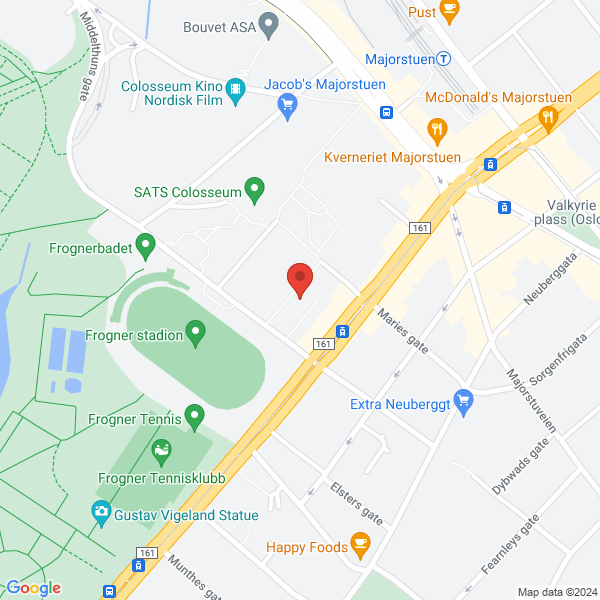 Bilde fra Google Maps, sentrert på adressen