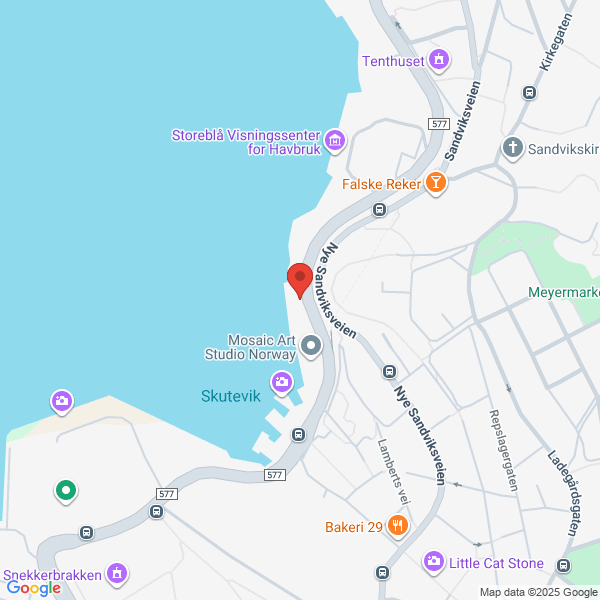 Bilde fra Google Maps, sentrert på adressen
