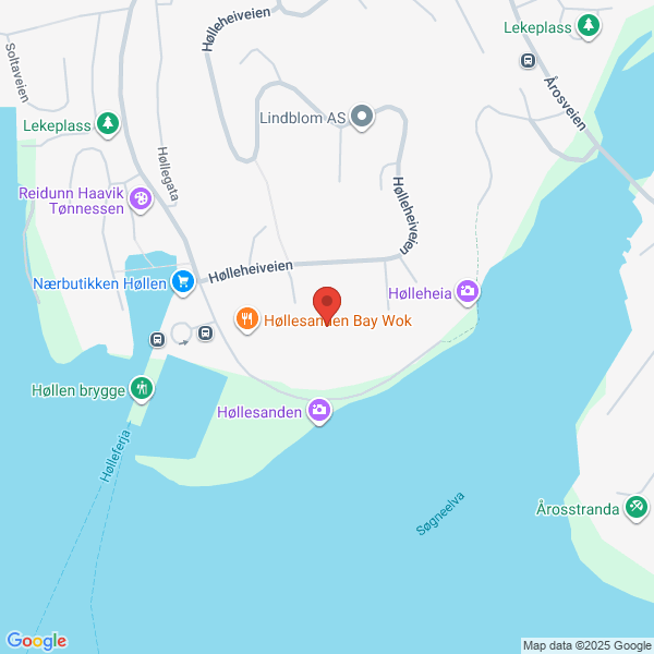 Bilde fra Google Maps, sentrert på adressen