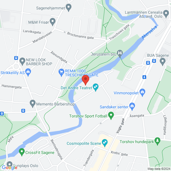 Bilde fra Google Maps, sentrert på adressen