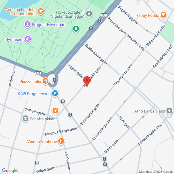 Bilde fra Google Maps, sentrert på adressen