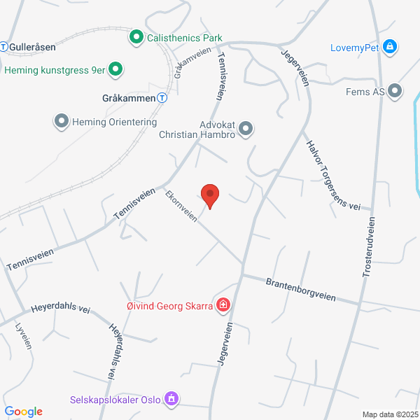 Bilde fra Google Maps, sentrert på adressen