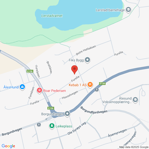 Bilde fra Google Maps, sentrert på adressen