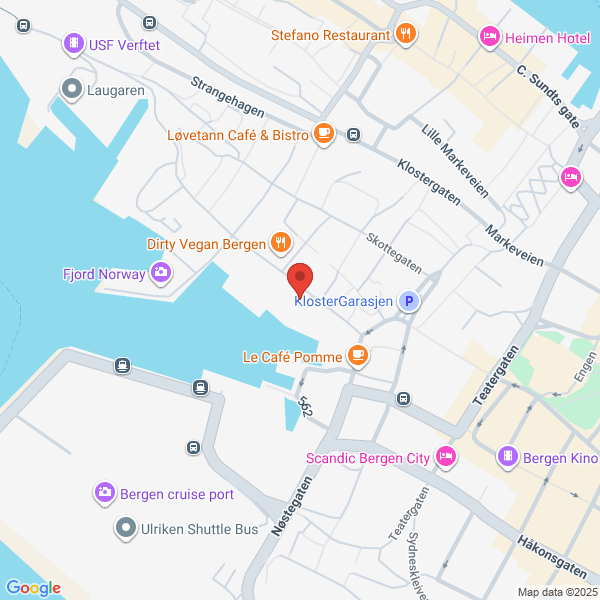 Bilde fra Google Maps, sentrert på adressen