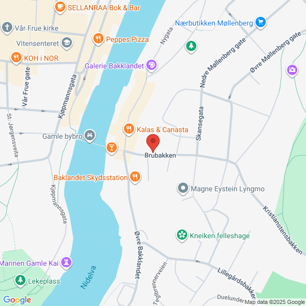 Bilde fra Google Maps, sentrert på adressen