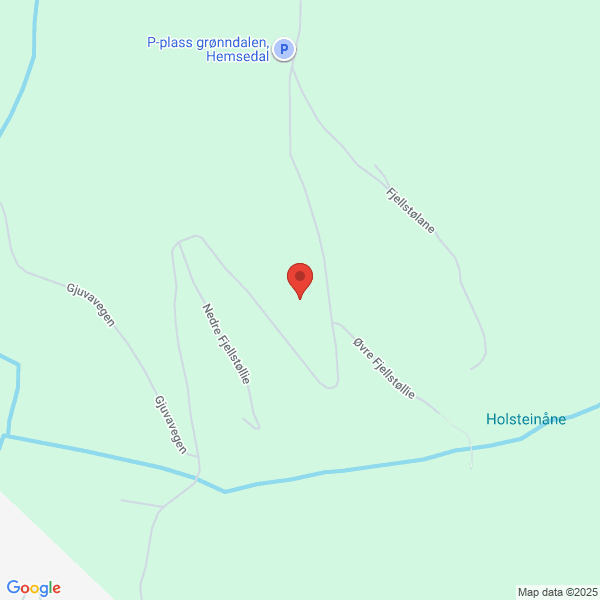 Bilde fra Google Maps, sentrert på adressen