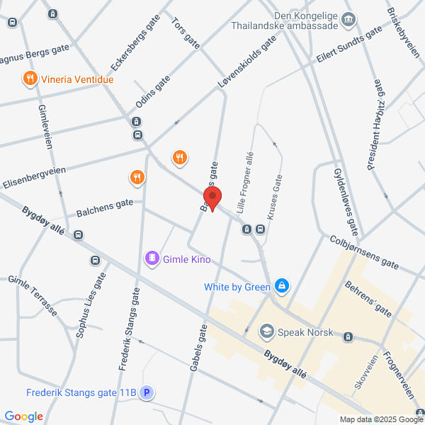 Bilde fra Google Maps, sentrert på adressen