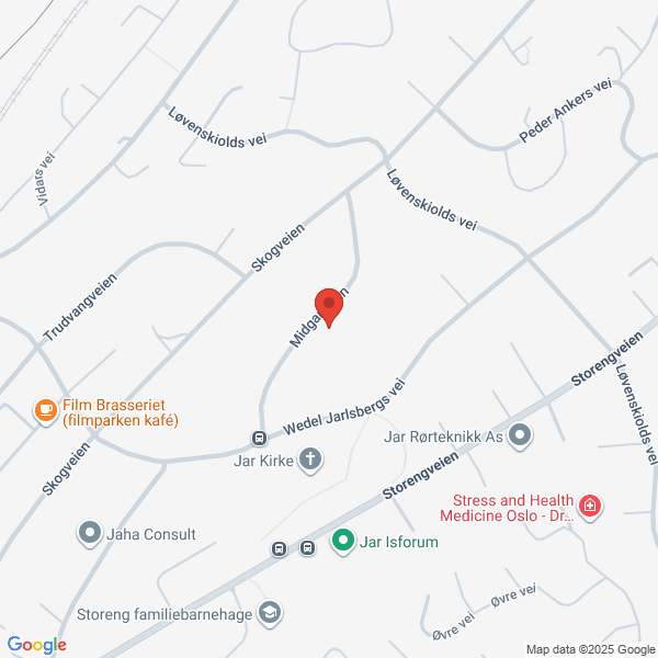 Bilde fra Google Maps, sentrert på adressen