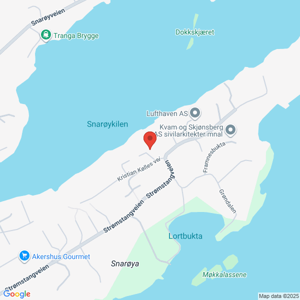 Bilde fra Google Maps, sentrert på adressen