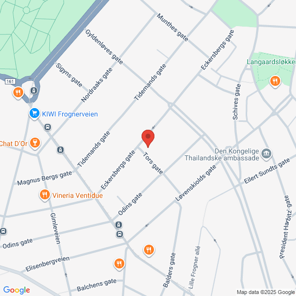 Bilde fra Google Maps, sentrert på adressen