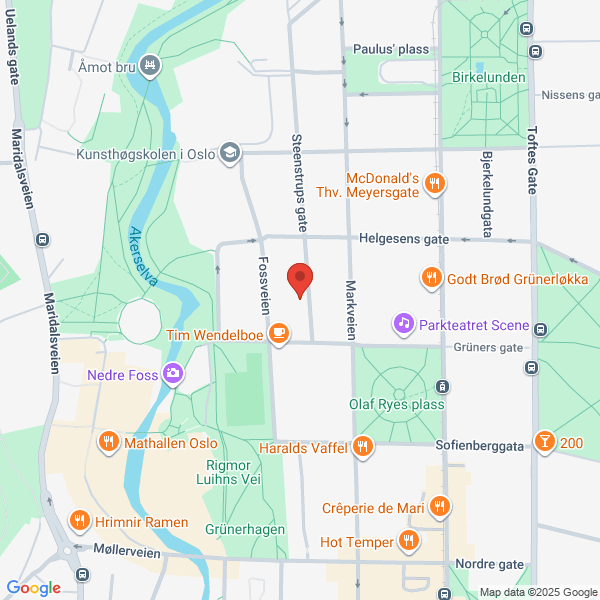 Bilde fra Google Maps, sentrert på adressen