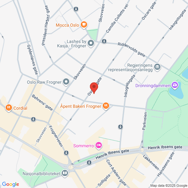 Bilde fra Google Maps, sentrert på adressen