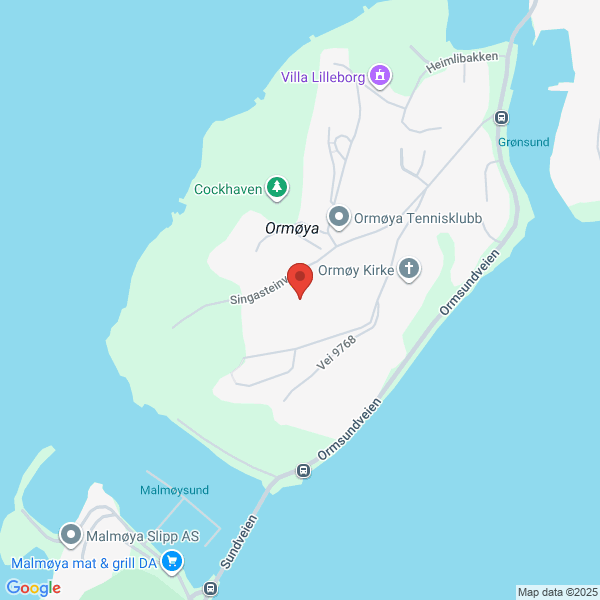 Bilde fra Google Maps, sentrert på adressen