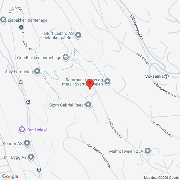 Bilde fra Google Maps, sentrert på adressen