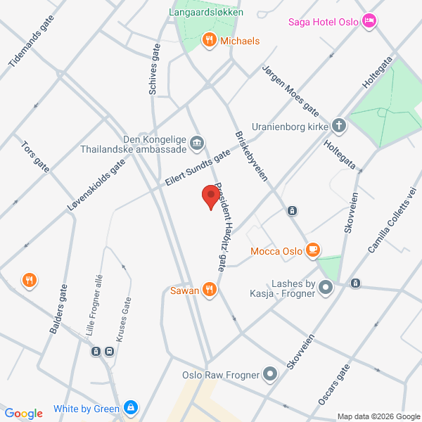 Bilde fra Google Maps, sentrert på adressen