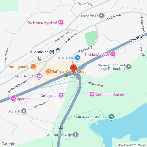 Bilde fra Google Maps, sentrert på adressen