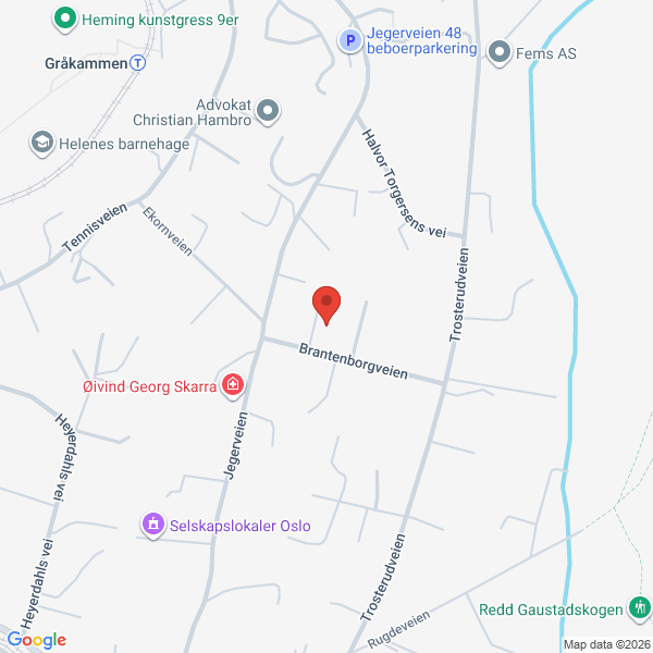 Bilde fra Google Maps, sentrert på adressen