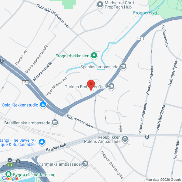 Bilde fra Google Maps, sentrert på adressen