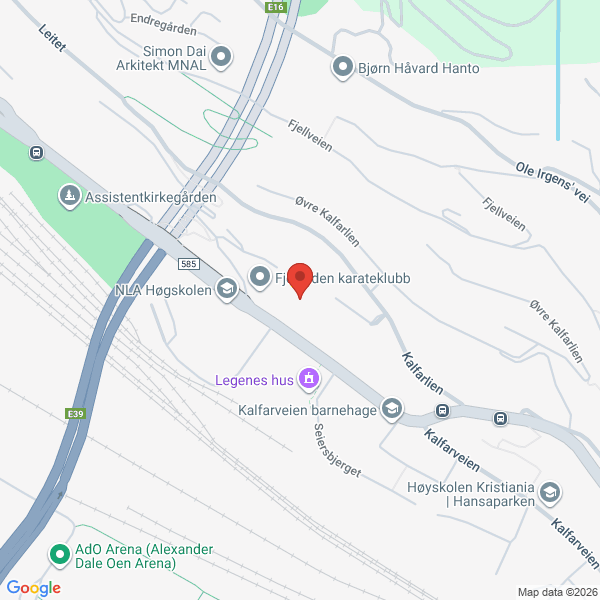 Bilde fra Google Maps, sentrert på adressen