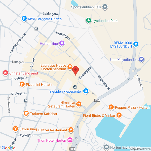 Bilde fra Google Maps, sentrert på adressen