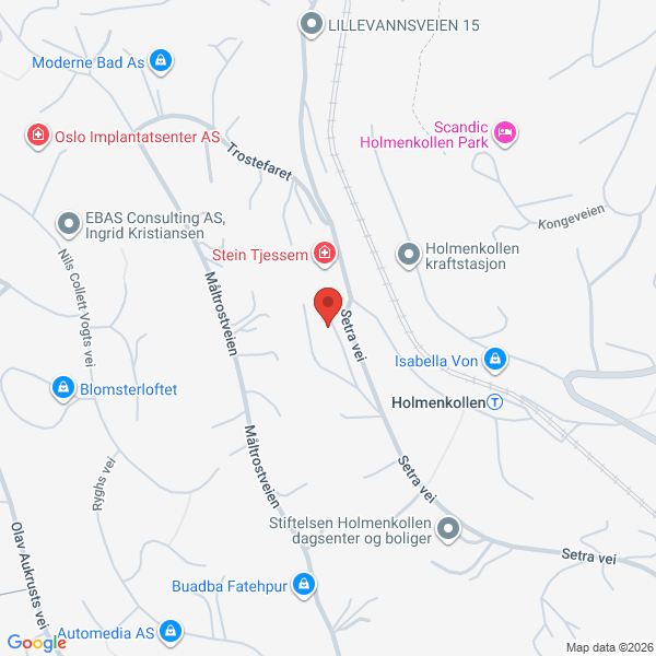 Bilde fra Google Maps, sentrert på adressen