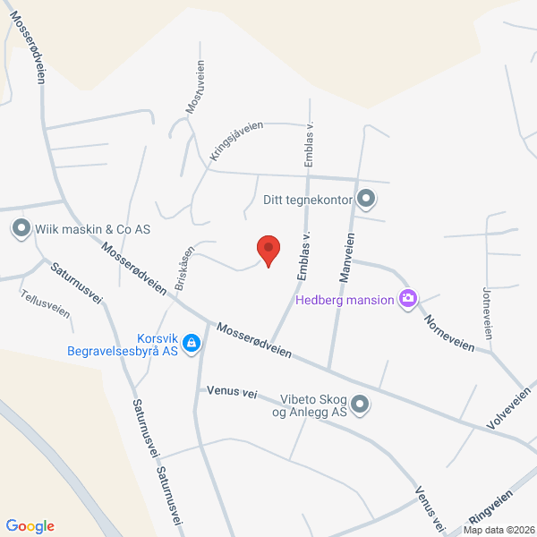 Bilde fra Google Maps, sentrert på adressen