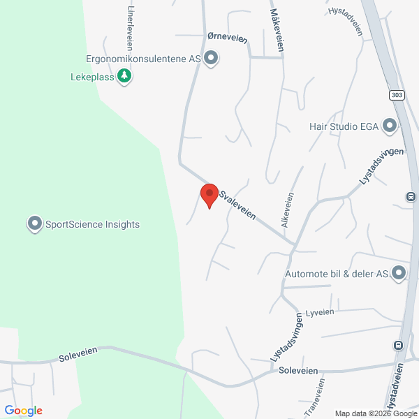 Bilde fra Google Maps, sentrert på adressen