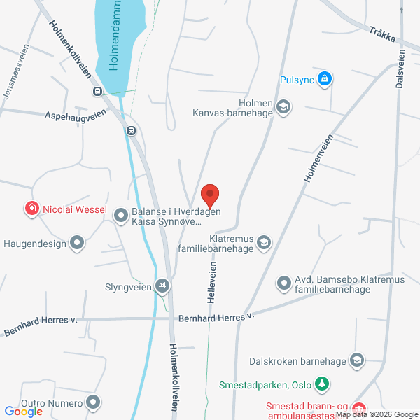 Bilde fra Google Maps, sentrert på adressen