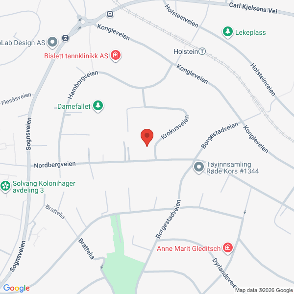 Bilde fra Google Maps, sentrert på adressen