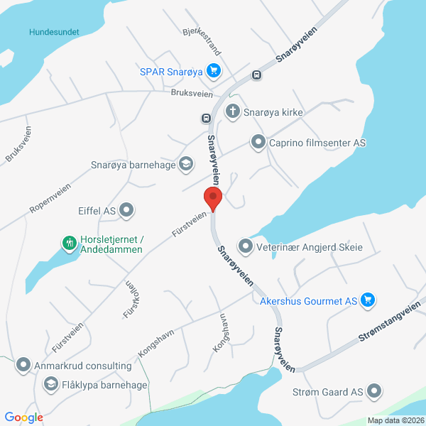 Bilde fra Google Maps, sentrert på adressen