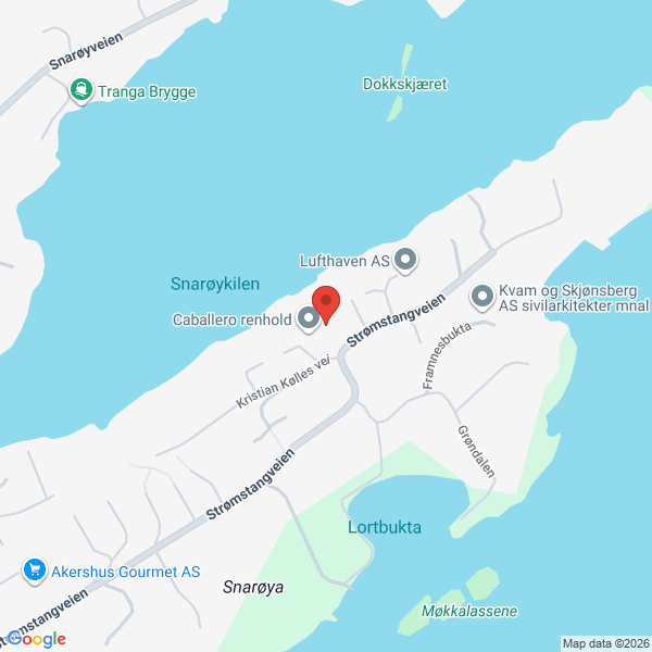 Bilde fra Google Maps, sentrert på adressen