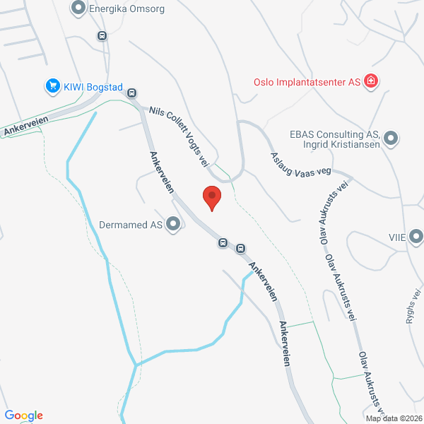 Bilde fra Google Maps, sentrert på adressen