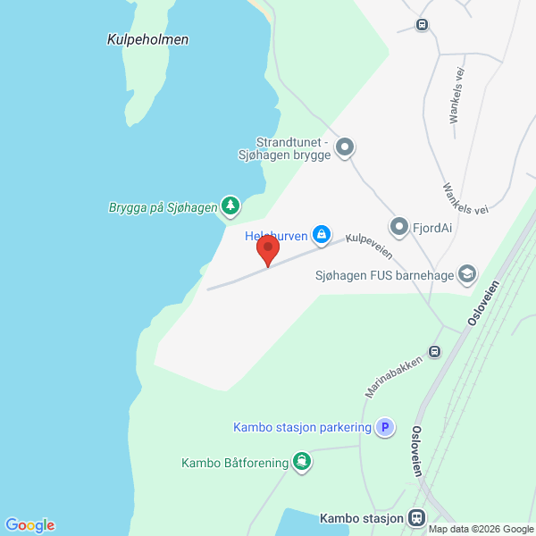 Bilde fra Google Maps, sentrert på adressen