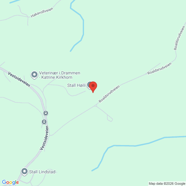 Bilde fra Google Maps, sentrert på adressen